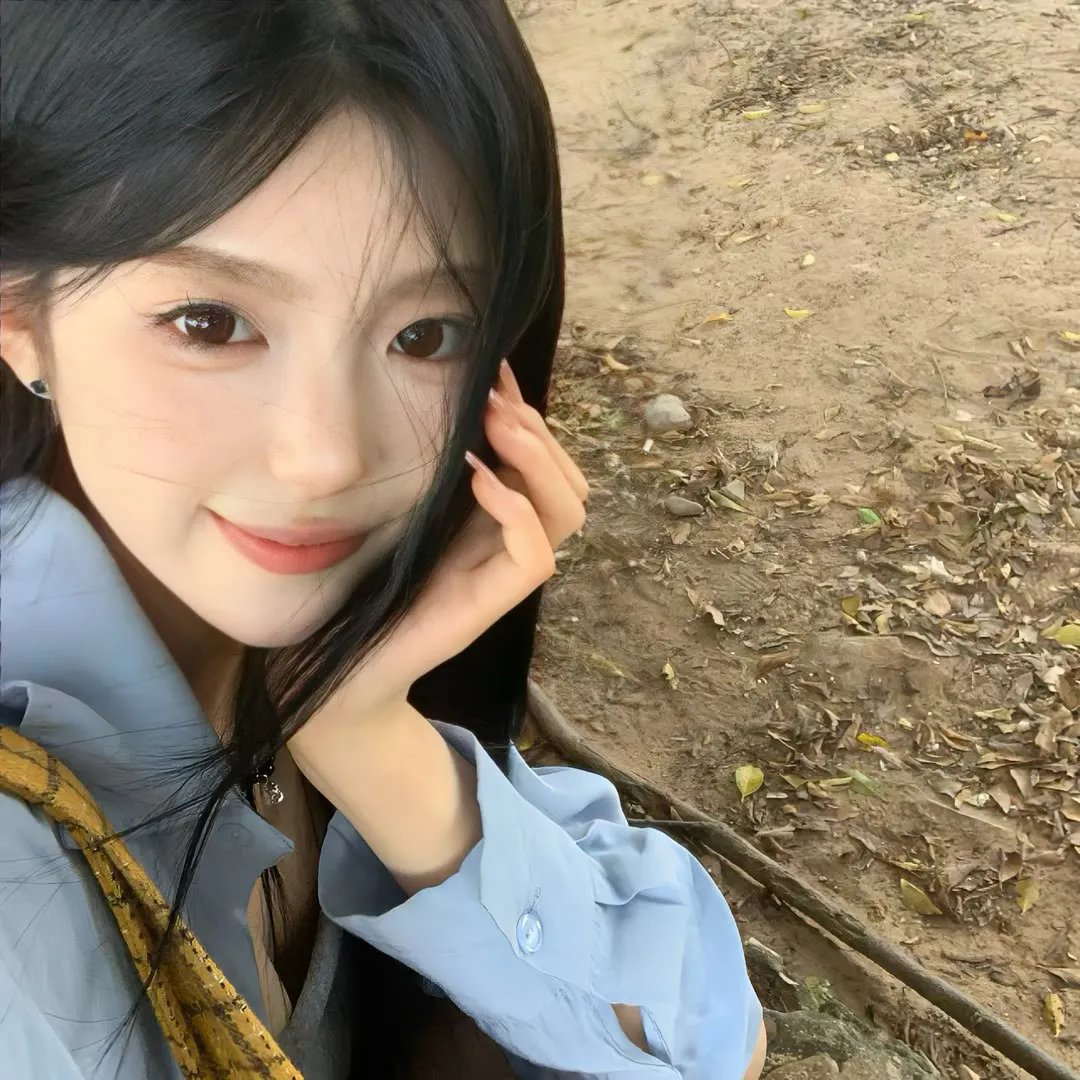 动物神探队第一季